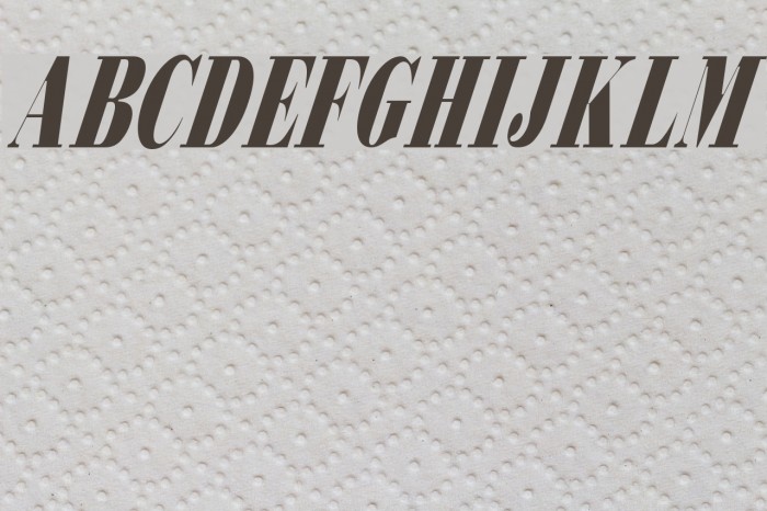 Bodidly-Conde 2 Font examples