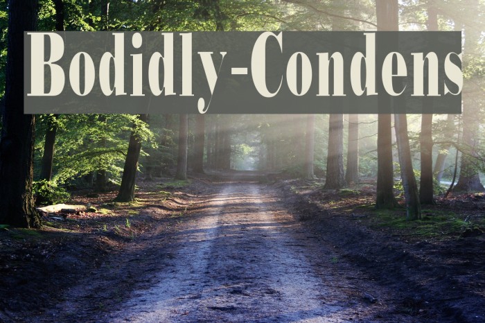 Bodidly-Condens Font examples