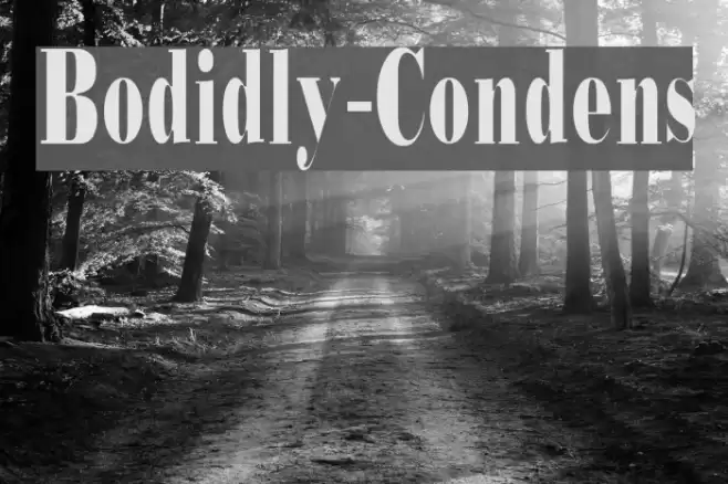 Bodidly-Condens フォント examples