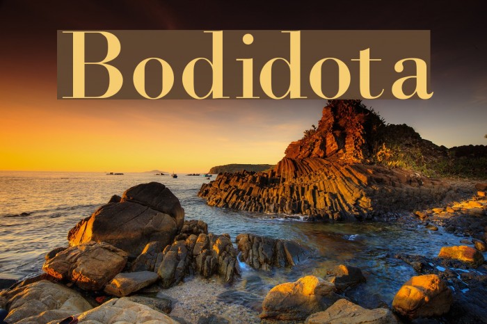 Bodidota Font examples