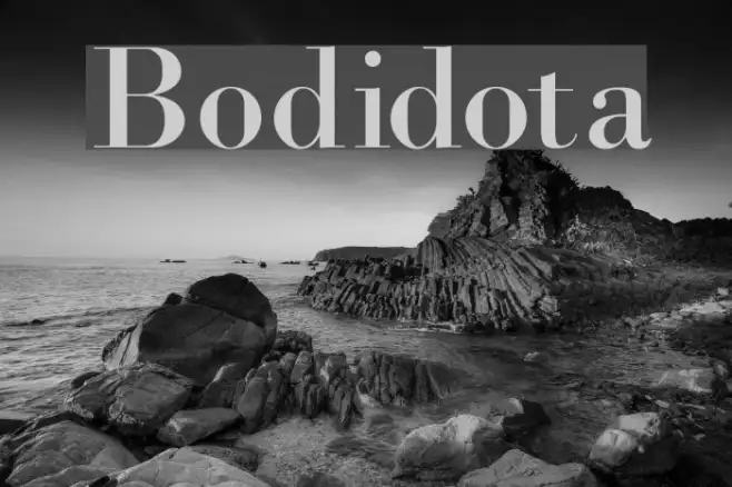 Bodidota Example 1
