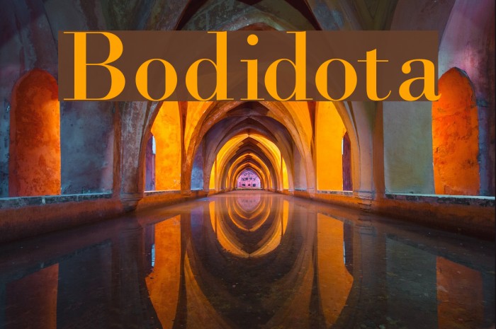Bodidota Font examples