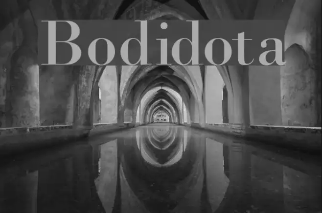 Bodidota Example 3
