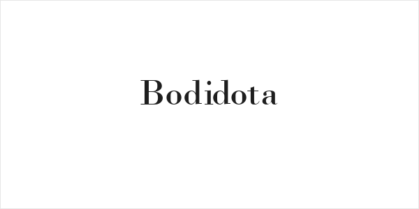 Bodidota Logo