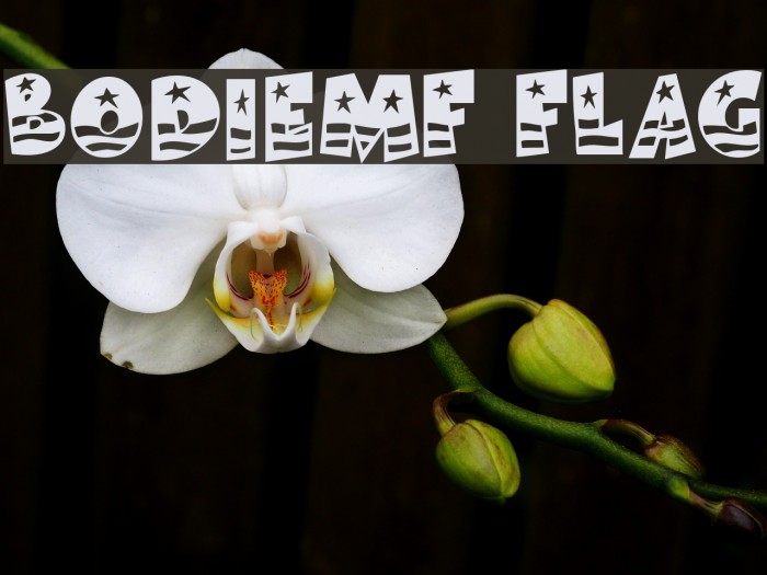 BodieMF Flag フォント examples