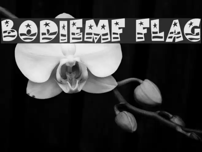 BodieMF Flag خط examples