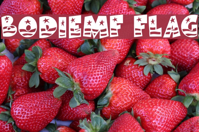 BodieMF Flag フォント examples