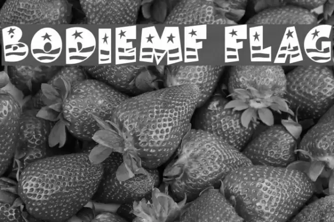 BodieMF Flag خط examples