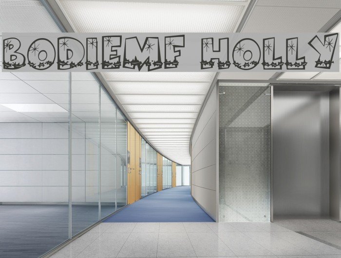 BodieMF Holly Example 1