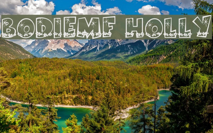 BodieMF Holly Example 3