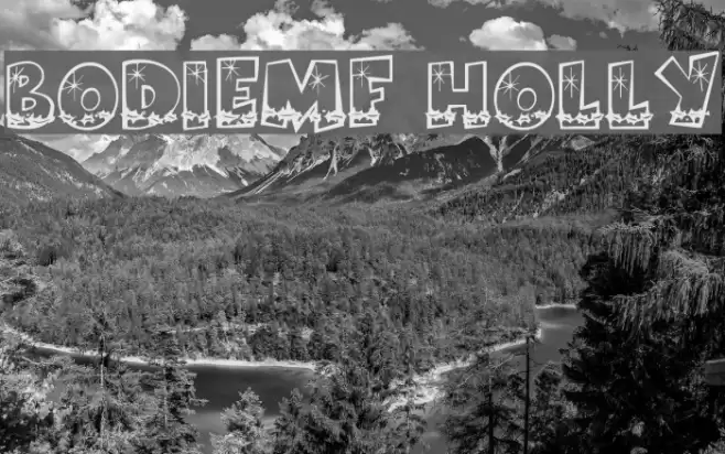 BodieMF Holly Font examples