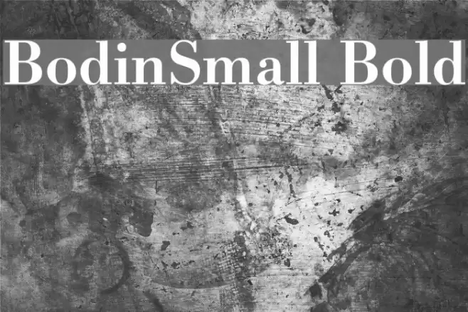 BodinSmall Bold Fonte examples