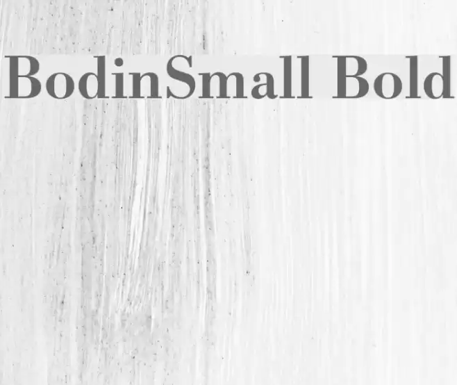 BodinSmall Bold Fonte examples