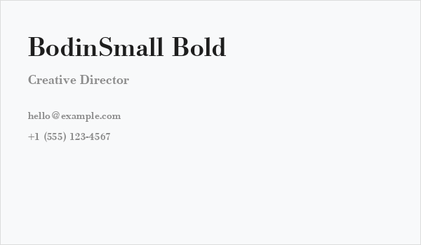 BodinSmall Bold Business Card