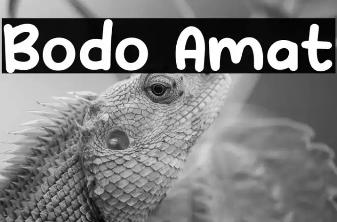 Bodo Amat Font examples