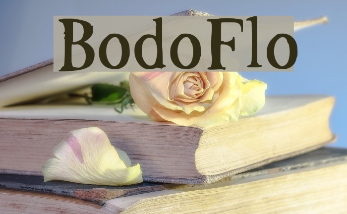 BodoFlo Font examples