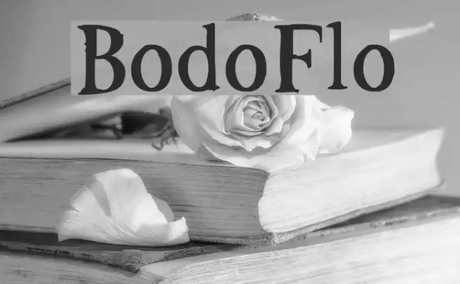 BodoFlo Example 1
