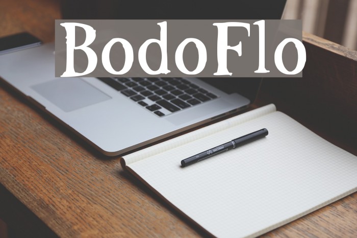 BodoFlo Font examples