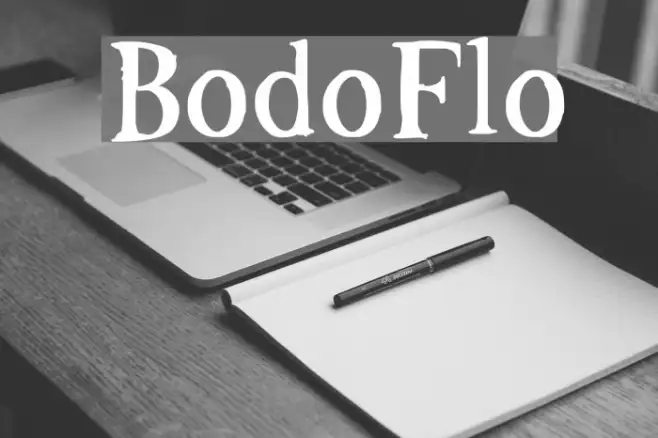 BodoFlo Example 2