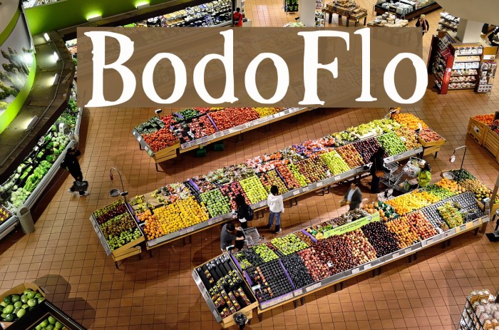 BodoFlo Font examples