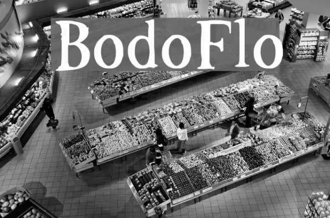 BodoFlo Example 3