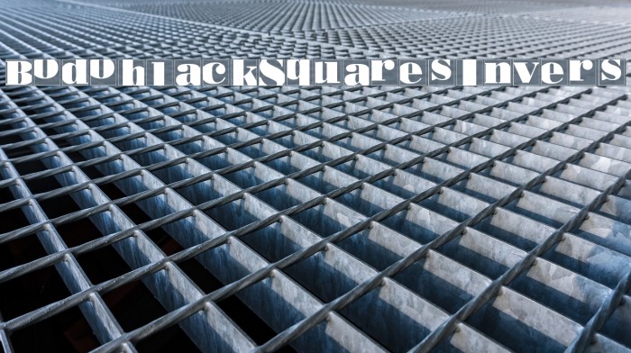 BodoblackSquaresInvers Font examples