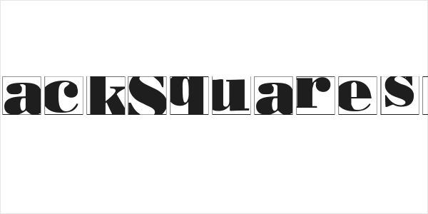 BodoblackSquaresInvers Logo