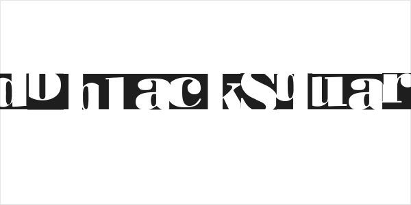 BodoblackSquares Logo