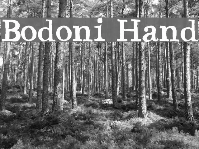 Bodoni Hand Font examples
