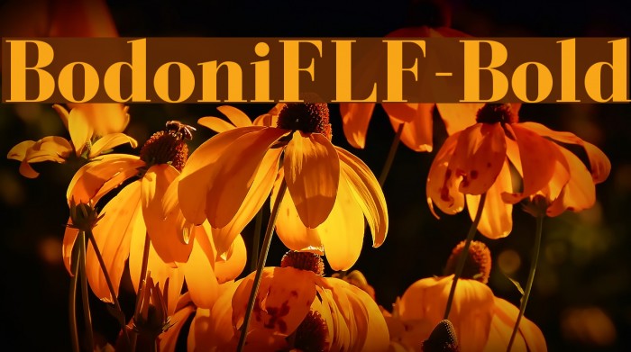 BodoniFLF-Bold Font examples