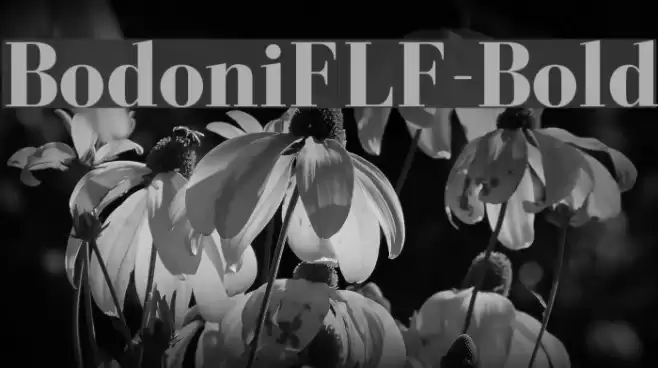 BodoniFLF-Bold examples