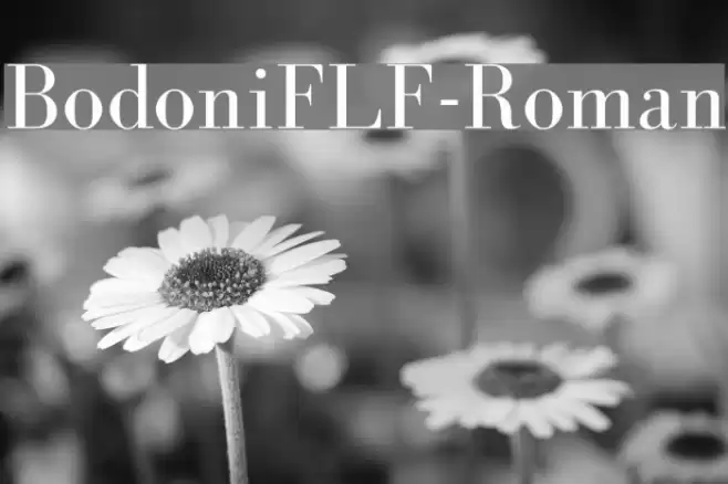 BodoniFLF-Roman Font examples