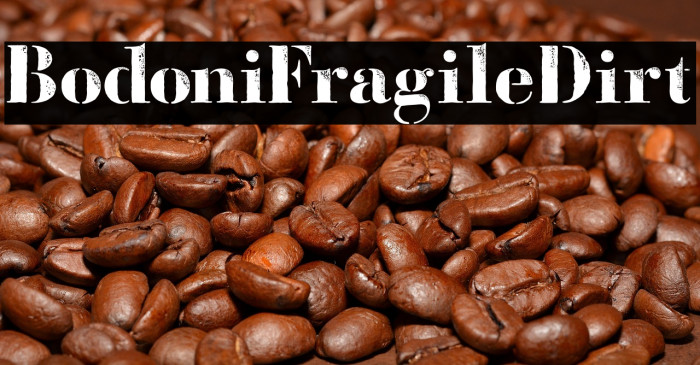 BodoniFragileDirt Example 3