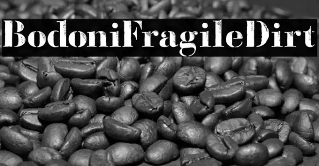BodoniFragileDirt Example 3