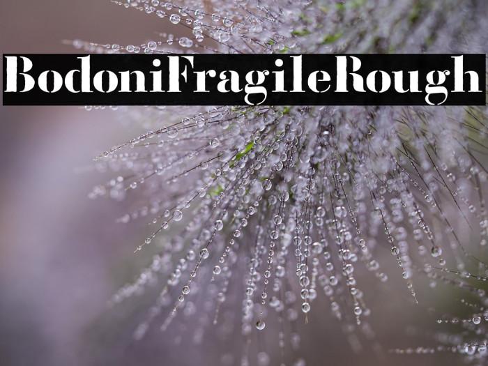 BodoniFragileRough Example 1