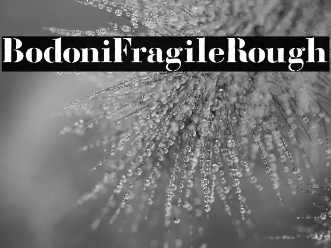 BodoniFragileRough Example 1