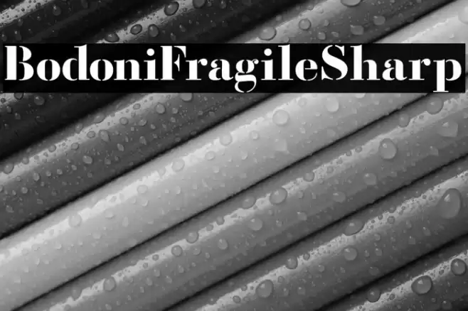 BodoniFragileSharp Font examples