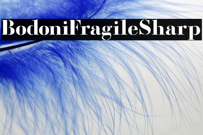 BodoniFragileSharp Example 3