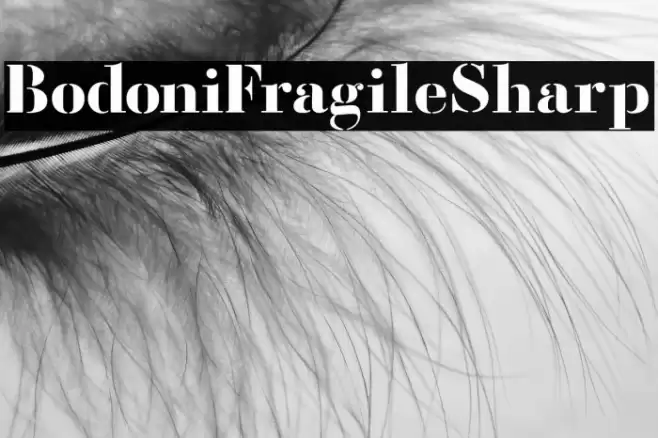 BodoniFragileSharp Font examples