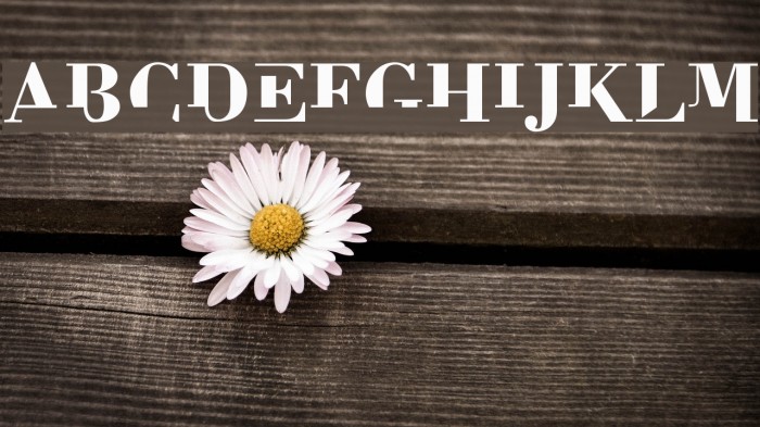 BodoniMutant Font examples
