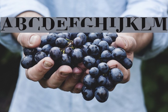 BodoniMutant Font examples