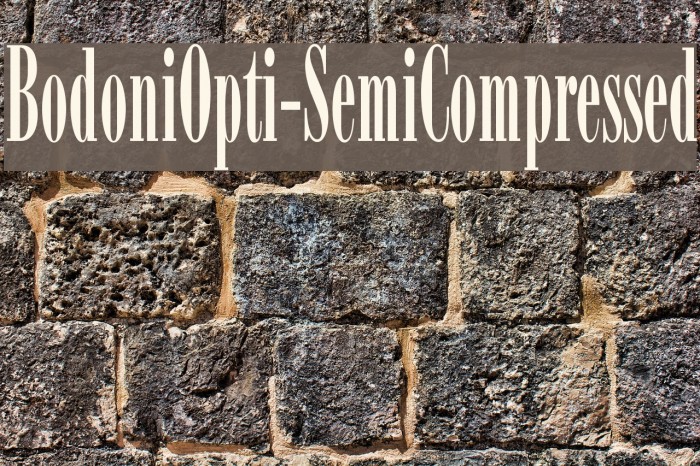 BodoniOpti-SemiCompressed Font examples