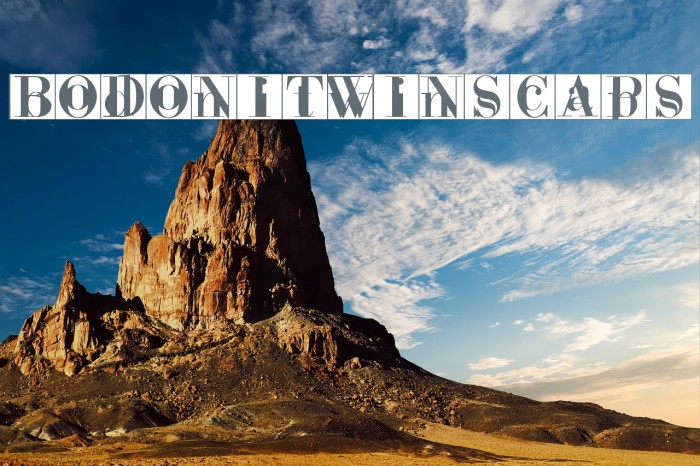 BodoniTwinsCaps Font examples