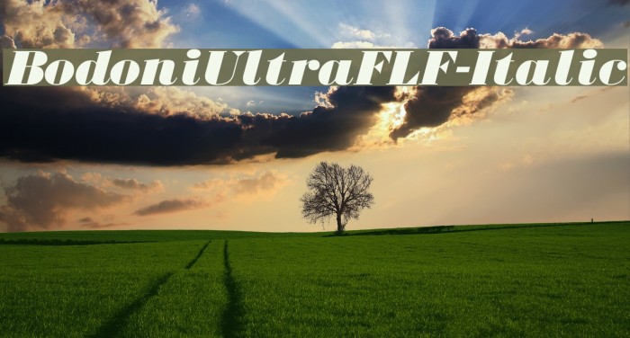 BodoniUltraFLF-Italic Font examples