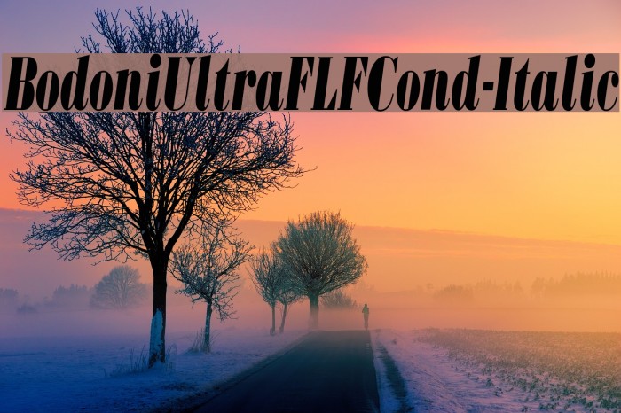 BodoniUltraFLFCond-Italic Font examples