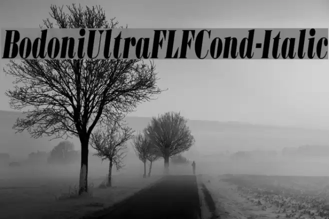 BodoniUltraFLFCond-Italic Fonte examples