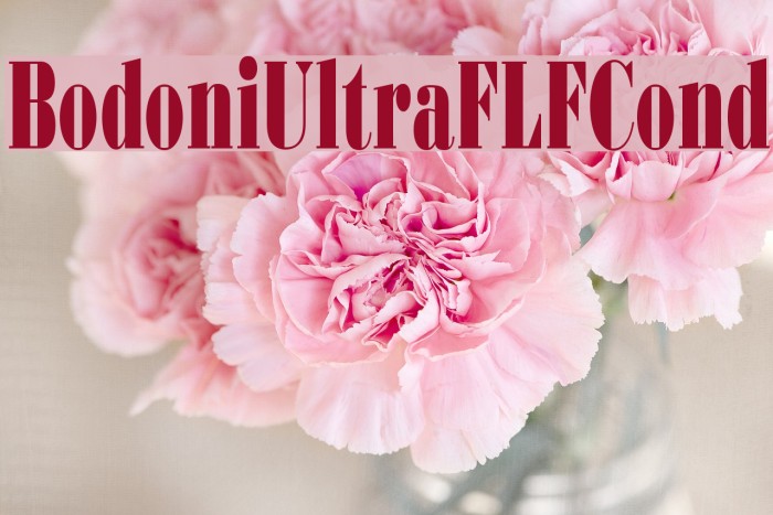 BodoniUltraFLFCond Font examples
