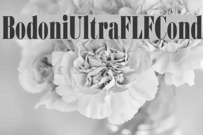 BodoniUltraFLFCond Font examples