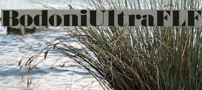 BodoniUltraFLF Font examples