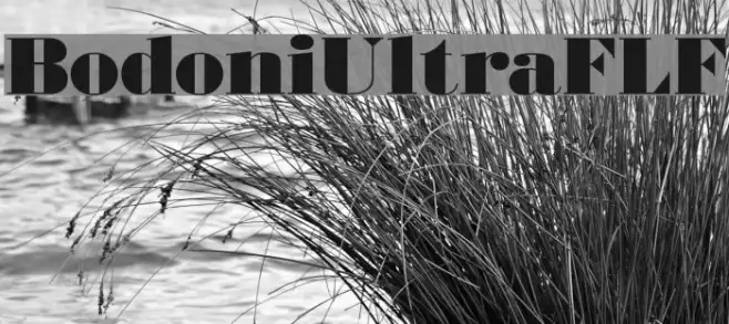 BodoniUltraFLF Example 2